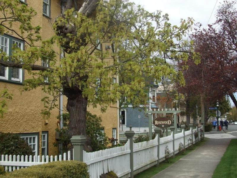 Rosewood Inn Victoria Exterior photo